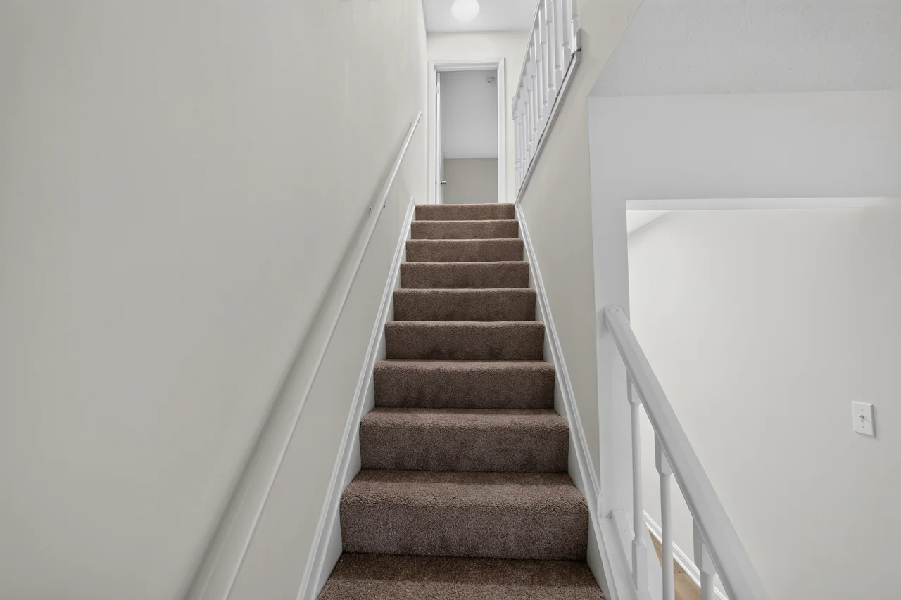 Carpeted stairs